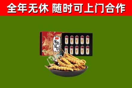 湖滨区烟酒回收冬虫夏草礼盒.jpg