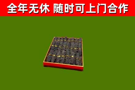 湖滨区回收海参